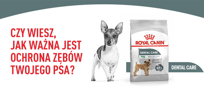 ROYAL CANIN CCN Mini Dental Care crocchette secche per cani adulti di piccole razze, riduce la formazione di tartaro 8 kg